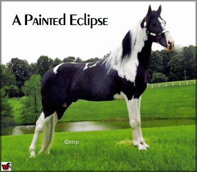 A Painted Eclipse