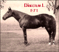 Directum J. F-71