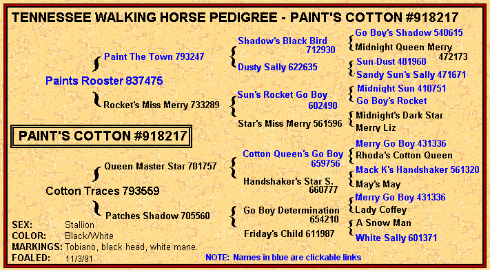Tennessee Walking horses - paintspedigree.gif 