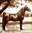 1945 and 1946 WGCh Midnight Sun was also awarded the title, 'Horse Of The Century'