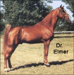 Dr. Elmer