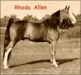 Rhoda Allen