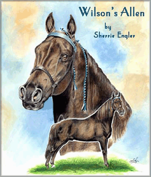 Wilson's Allen by Sherrie Engler