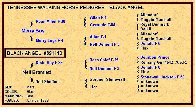 Black Angel Pedigree - click on the blue names for more info.