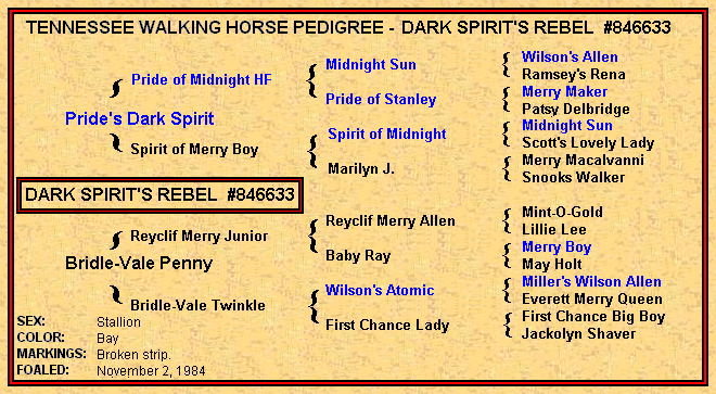 Dark Spirit's Rebel Pedigree