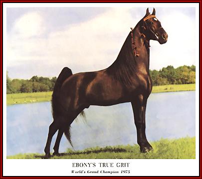 Ebony's True Grit