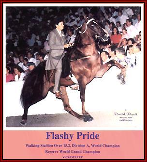 Flashy Pride takes Reserve World Grand Champion