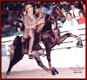 Ritz and Billy Gray win Two Year Old World Grand Champion and Two Year Old Horse of the Year r