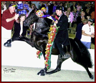 2005 Tennessee Walking Horse World Grand Champion, Main Power and Joe Cotten