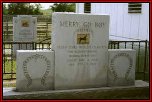 Merry Go Boy rests on the property of S. W. Beech Stables in Tennessee.