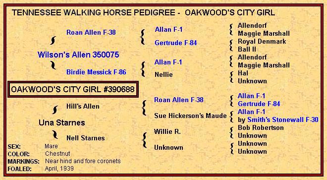 Oakwood's City Girl pedigree - click on the blue names for more info.