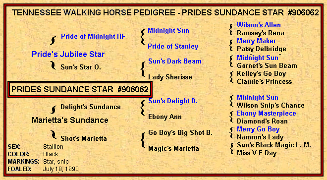 Pride's Sundance Star Pedigree