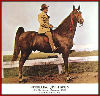 Strolling Jim - 1940 World Grand Champion