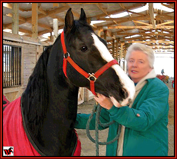 Mary Ellen Areaux welcoming Delights Dynamic Boy to his new home at Walkers West.