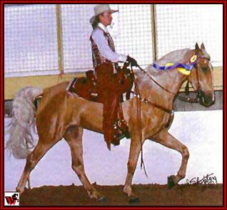 Tennessee Walking horses - GoldrushHoney.jpg (20928 bytes)