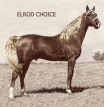 Elrod Choice