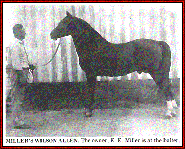 Miller's Wilson Allen