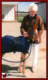 Tennessee Walking horses - Mary Ellen and colt.jpg (11305 bytes)