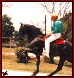 Tennessee Walking horses - Mary Ellen on Jamaica Shaker.jpg (16279 bytes)