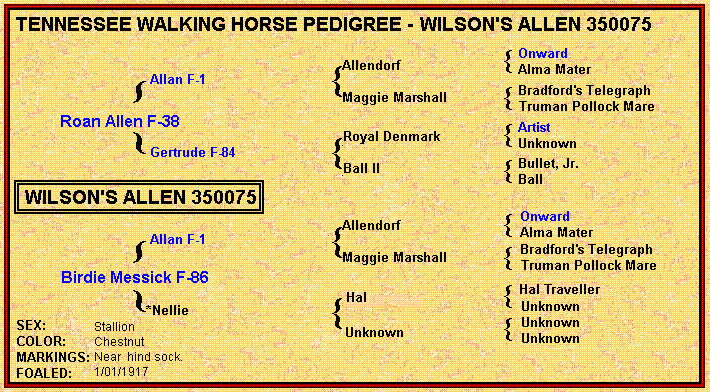 WilsonsAllenpedigree.gif (67772 bytes)