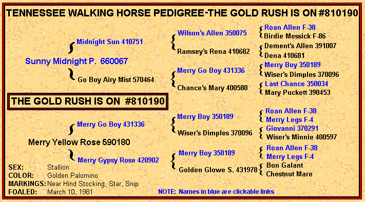 Tennessee Walking horses - goldrushpedigree.gif