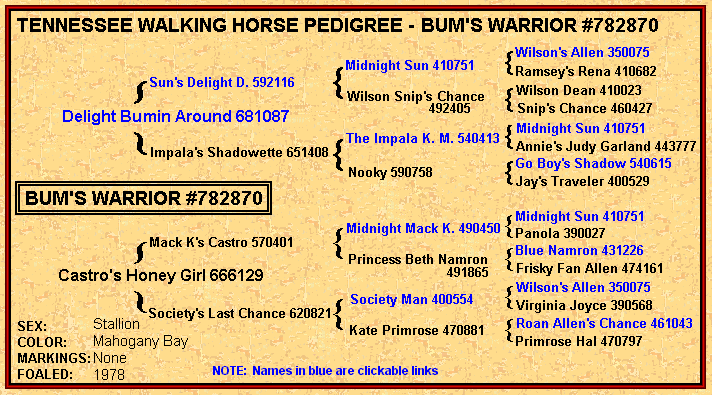 Tennessee Walking horses -  warrior pedigree