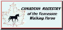 Tennessee Walking Horses - CLICK HERE for Canadian Tennessee Walking Horse Registry