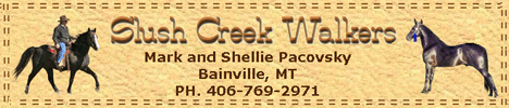 Slush Creek Walkers breed naturally gaited Tennessee Walking Horses in NE Montana, to provide good quality using horses at reasonable prices. Offering the world's largest herd of Heritage Society-certified flatshod, ranch broke plantation saddle horses, mares, geldings and young stock. Standing Slush Creeks Jubal S and Delight's Midnight Legend. Overseas transport available.