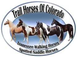 Trail Horses Of Colorado