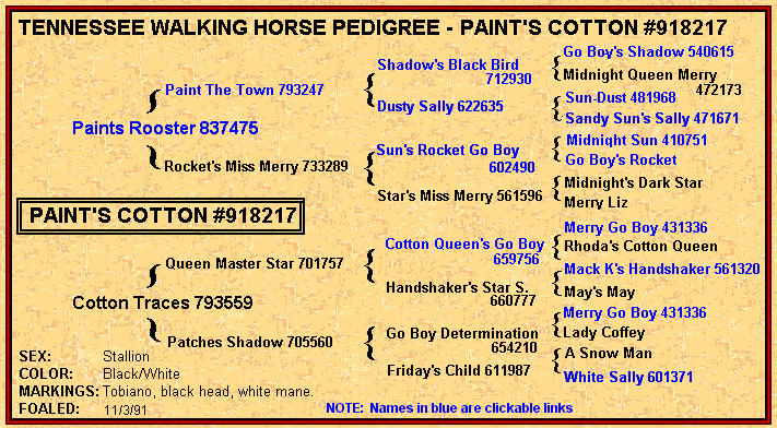 Tennessee Walking horses - paintspedigree.gif