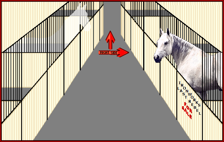 Whether you ride English or Western, we can accomodate you with a gaited horse.