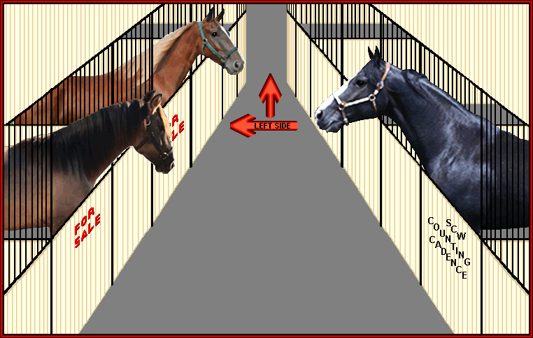 There are no limits to what you can do on a Tennessee Walking Horse.. Check out the Adult Supreme Versatility Program offered by the TWHBEA.