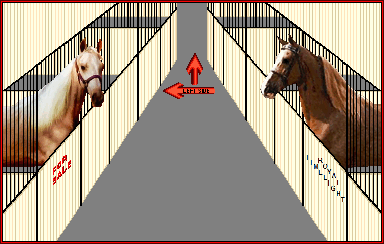 There are no limits to what you can do on a Tennessee Walking Horse.. Check out the Adult Supreme Versatility Program offered by the TWHBEA.