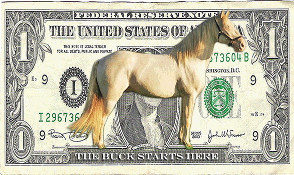 The Buck Starts Here !!!! �Bansidhe Graphics 