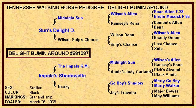 Delight Bumin Around Pedigree