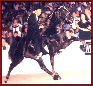 Ritz and Sammy winning the World Cup Spring Premier - 1996