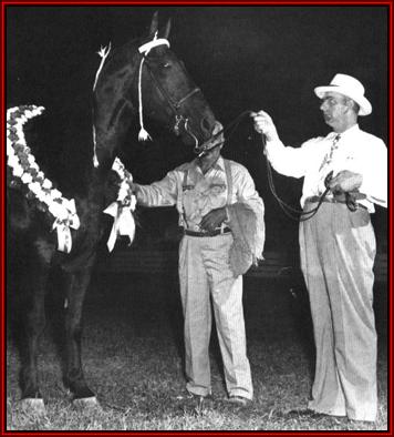 Tennessee Walking horses - MSChamp.jpg (27807 bytes)