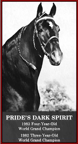 PRIDE'S DARK SPIRIT