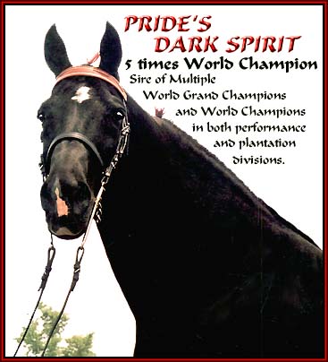 PRIDE'S DARK SPIRIT