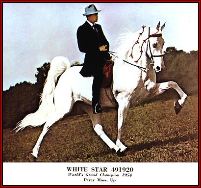White Star
