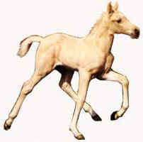 Cremello