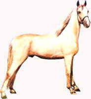 Perlino