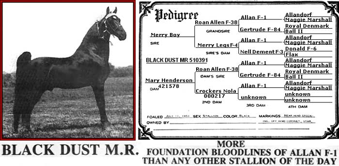Black Dust MR