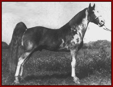 Brantley's Roan Allen, Jr