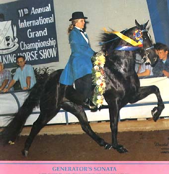 Generator's Sonata