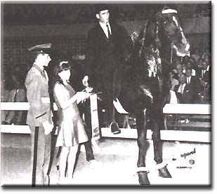 Go Boy's Flying Cloud