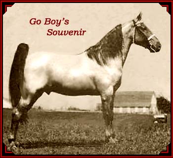 GoBoy's Souvenir
