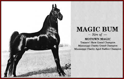 Magic Bum