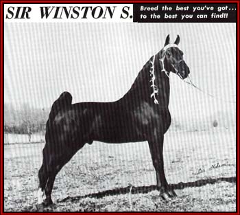 SIR WINSTON S.