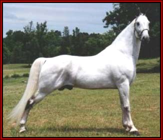 Another Grey John